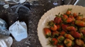 Ну да,я попрошайничаю/Сегодня сделана мечта прошлогодняя