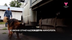 Профессиональный праздник отметят кинологи