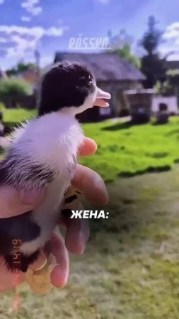 Едем на курорт?