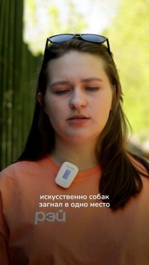 Где собакам лучше – на улице или в приюте?