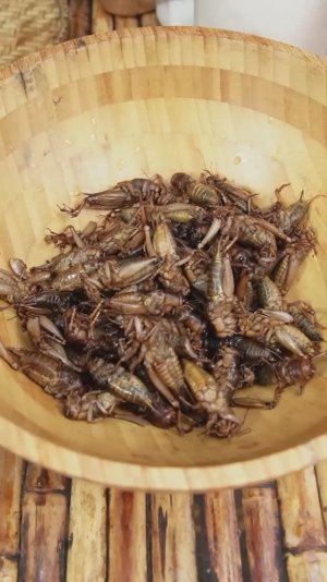 Приготовление особенных насекомых жарка сверчка во фритюре и вкусная еда