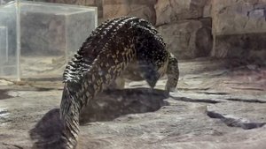 ОКЕАНАРИУМ с Дочкой: Рыбки, Фотобудка и Ресторан! (Vlog) 🦈🐠