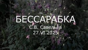 С.В. Савельев - Бессарабка