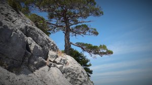 Три бухты Нового Света, Крым