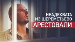 Напавшего на мальчика в Шереметьево мужчину арестовали на два месяца