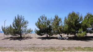 Абхазия Цитрусовый совхоз Погода Море Пляж 26 июня 2025 г.