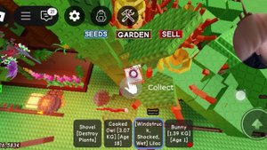 Grow a garden (вырасти сад)