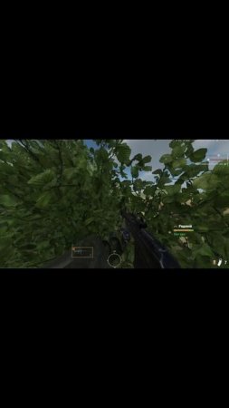 Arma Reforger, В Тылу Врага