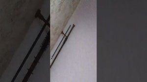 делаю всё что говорят подписчики