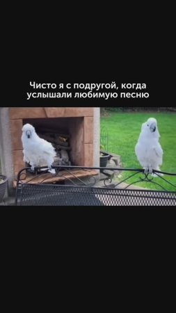 Чисто я с подругой 😂💃 #foodru #рецепты #юмор