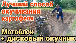 🔥Лучший способ окучивания картофеля - мотоблок Hüter с ДИСКОВЫМ ОКУЧНИКОМ. Результат потрясающий‼️