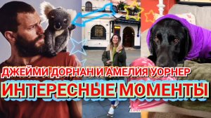 😍 ДЖЕЙМИ ДОРНАН И ЕГО ЖЕНА АМЕЛИЯ УОРНЕР - ИНТЕРЕСНЫЕ МОМЕНТЫ 💓 2023