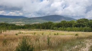 Зем. участок г. Севастополь с. Гончарное 10сот. 1,39🍋