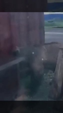 Сосед, открывай!