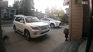 Всячинки