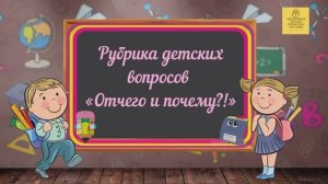 Online – рубрика детских вопросов «Отчего и почему. Выпуск 7»