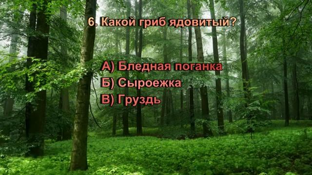 Лес - лёгкие планеты: виртуальная викторина смотреть онлайн