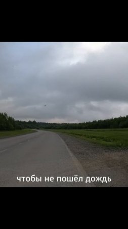 «Выживание в движении»