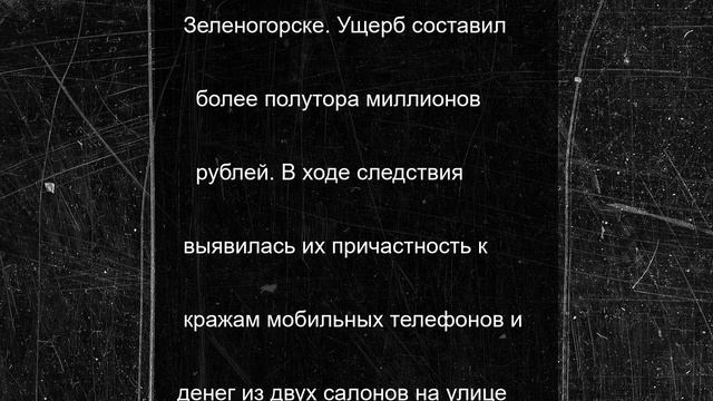 Задержанных телефонных воров изобличили еще в двух грабежах в Приозерске