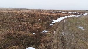 соседний участок 10 января 2025 г