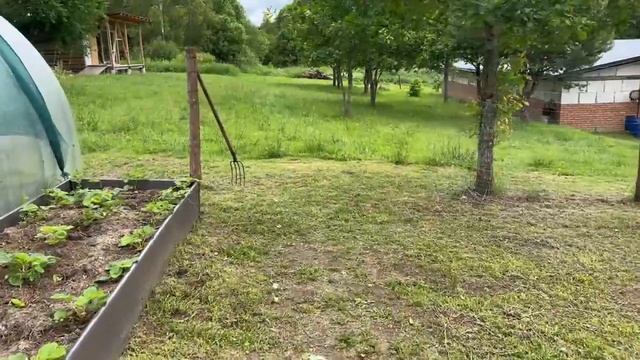 ВЕСЕЛОЕ ДЕТСТВО НА ЗАБРОШЕННОМ ХУТОРЕ! ЖИЗНЬ В ГЛУШИ ПОСЛЕ ПЕРЕРЫВА
