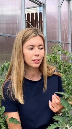 ГЛАВНОЕ В БОРЬБЕ С ФИТОФТОРОЙ
