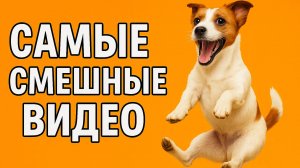Смех до слёз: лучшие приколы №161