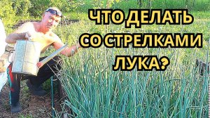 Почему мой лук пошёл в стрелку?