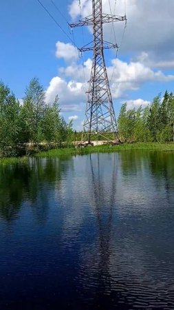 ОБСТАНОВКА ПО КАЙФУ!
