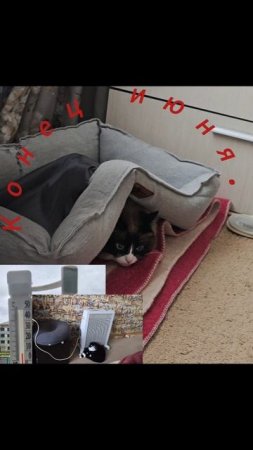 Конец июня.
Подписываемся vr9753l_