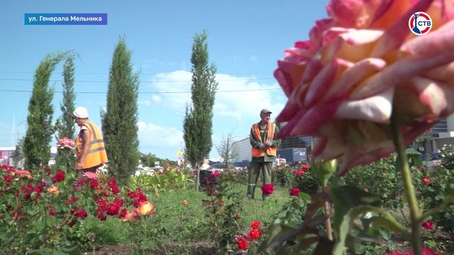 Специалисты обновили цветы на кольце Ревякина-Мельника