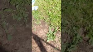 головокружение головокружение