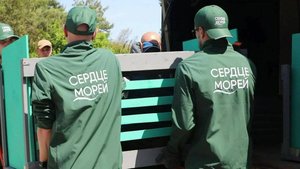 Балтийские_Тюлени_Выпуск_Куршская_Коса