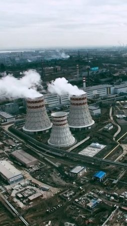 Псориаз не уходит просто так — но организм может справиться, если ему помочь
