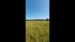 10 — сделано в Clipchamp