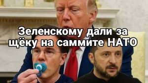 МРИЯ⚡️ ТАМИР ШЕЙХ / ЗЕЛЕНСКОГО ОПУСТИЛИ НА САММИТЕ НАТО. Новости