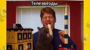 Телевёзды