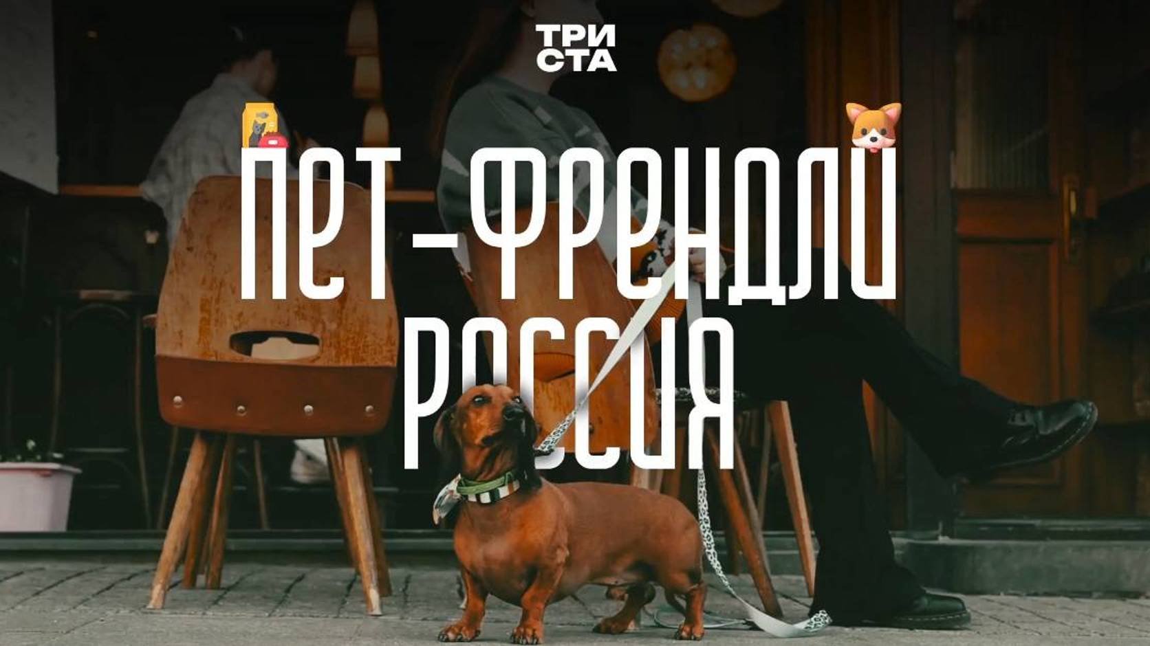 Пет-френдли Россия. Фильм-исследование от Триста