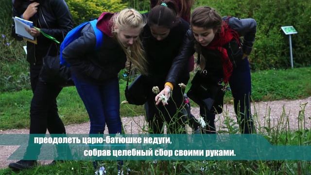 "Зелие милое" для царя Алексея Михайловича"