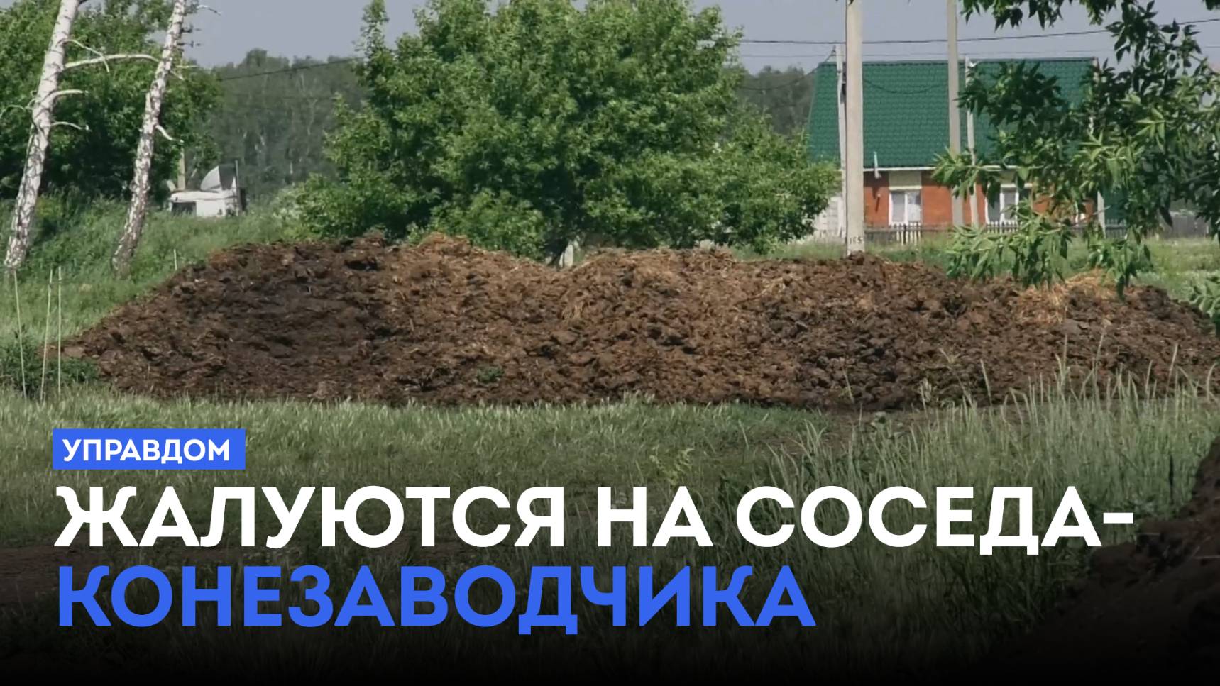 Жители села Березовка жалуются на соседа-конезаводчика / «Управдом» (26.06.25)