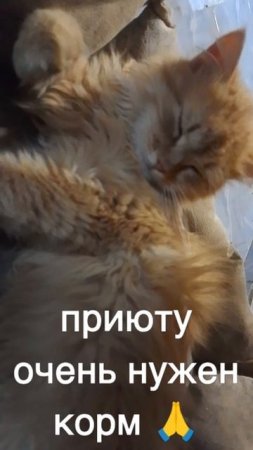 +7985 193 0027 сбер, элплат