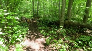 Зов Предков. Бронза Часть 1