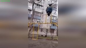 Юмор, прикольные видео смотрите и наслаждайтесь