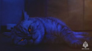 Твоя беспечность стоит жизни. И не только твоей.