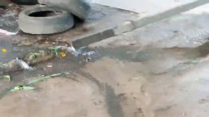 А вот таким прорывом любуются жители улицы Туполева.