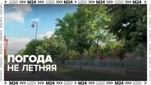 В Москве 26 июня ожидается прохладная погода с высокой влажностью - Москва 24