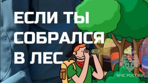 🌲Как сходить в лес и вернуться от туда?
