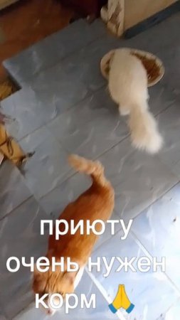 +7985 193 0027 сбер, элплат