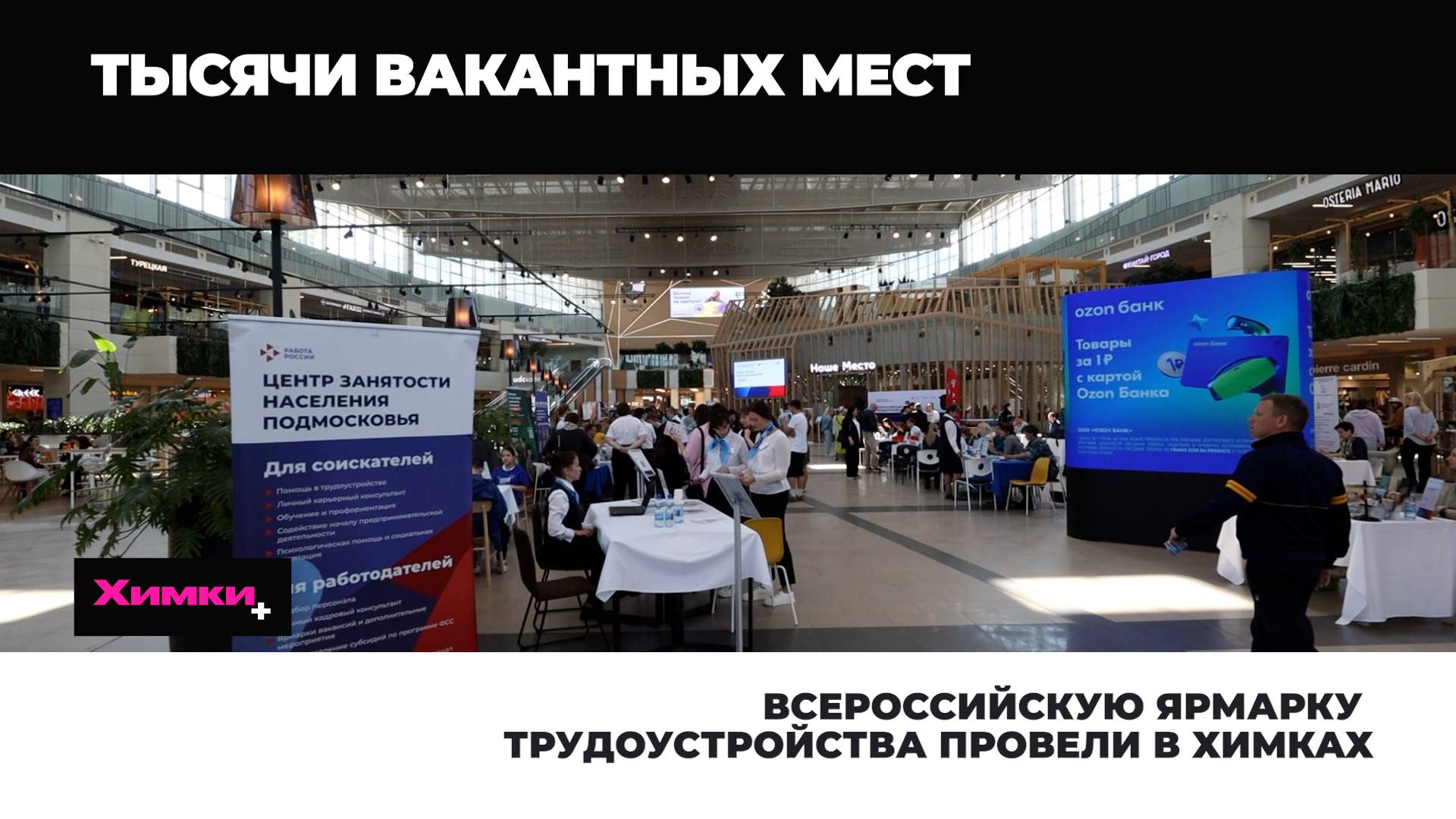 ВСЕРОССИЙСКУЮ ЯРМАРКУ ТРУДОУСТРОЙСТВА «РАБОТА РОССИИ. ВРЕМЯ ВОЗМОЖНОСТЕЙ» ПРОВЕЛИ В ХИМКАХ