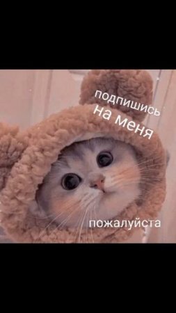 подпишись на меня🥺